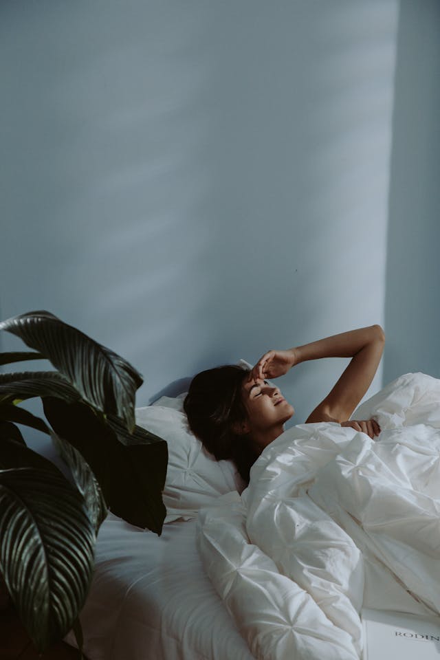 Xandoretrixia calm path